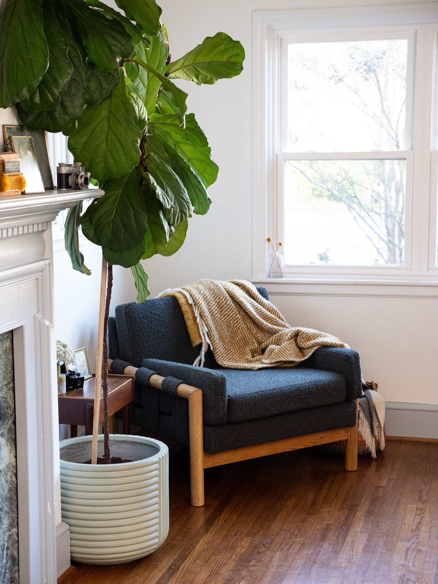 The Lydia Collection